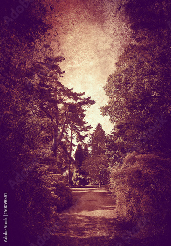 Photo: woodland path on textured background woodland path on textured background