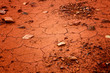 Dried out soil texture