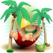 Relax on Hammock Smmer Holidays-Riposo in Amaca in Spiaggia
