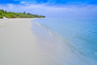Tropical Beach