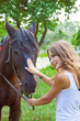 Young girl to train a horse.Focus on horses face.