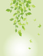 Spring green floral banner