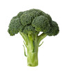 Photo: Broccoli isolated Broccoli isolated