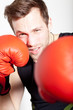 boxer