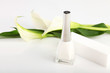 Manicure - Nail Polish