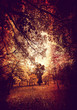 grungy park