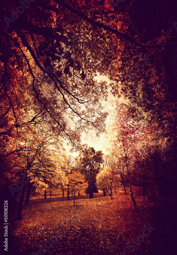 Photo: grungy park grungy park