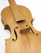 Photo: violino violino