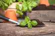 Gartenzeit II