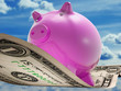 Dollars Note Pig Shows Prosperity And Investment