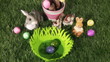 Easter eggs in the basket
