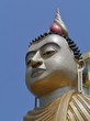 Photo: Buddha at wewurukannala Vihara temple in Sri Lanka Buddha at wewurukannala Vihara temple in Sri Lanka