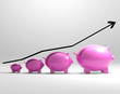 Growing Piggy Shows Increased Savings