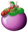 A violet fruit with two ants
