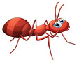 A stripe ant