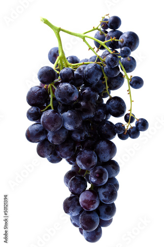 Photo: grappe de raisin muscat noir à petits grains grappe de raisin muscat noir à petits grains