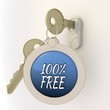 Unlocked 100 percent free icon on key pendant