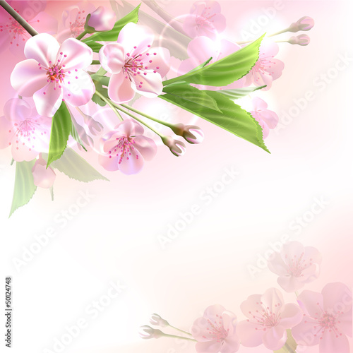 Vector: Blossoming tree branch with pink flowers Blossoming tree branch with pink flowers