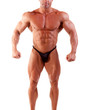 bodybuilder