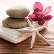 exotic escape from the spa