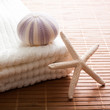 exotic escape from your bathroom