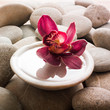 feng shui sensuality