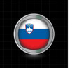 Metallbutton Flagge Slowenien