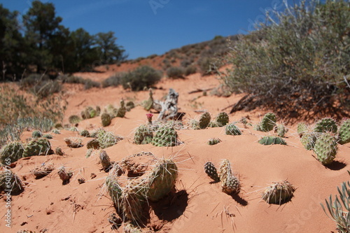 Photo: Caldo Torrido - Canyonlands NP Caldo Torrido - Canyonlands NP