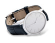 luxury watch