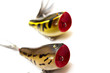 rapala fishing