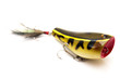 rapala fishing