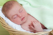 Foto: baby sleeps in a wattled basket, a close up baby sleeps in a wattled basket, a close up