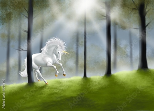 Illustration: unicorno nel bosco unicorno nel bosco