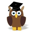study owl - university - college