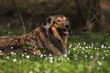 Frühling