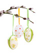Colored easter eggs hanging from willow branches