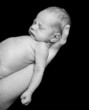 Newborn baby
