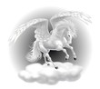 Illustration: pegaso pegaso