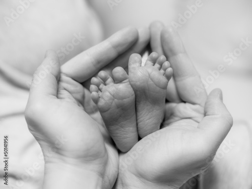 Photo: Baby legs Baby legs