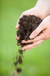 Gartenarbeit