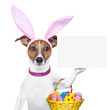 funny easter dog
