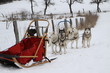 Schlitten mit Schkittenhund