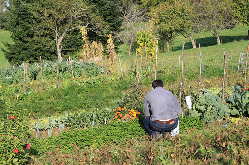 Photo: jardinier jardinier