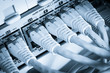 Photo: network hub and patch cables network hub and patch cables