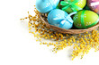 Easter eggs in basket and mimosa flowers, isolated on white