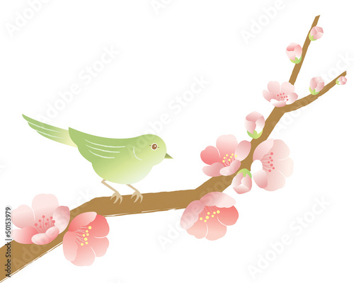 Illustration: 梅とうぐいす 梅とうぐいす