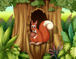A squirrel in a hollow holding a nut