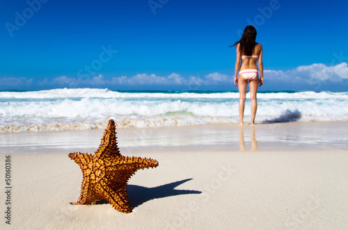 Photo: starfish on beach starfish on beach