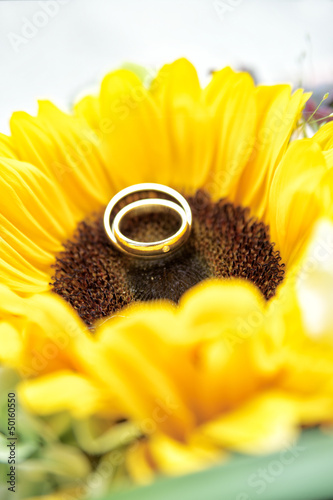 Photo: Wedding Rings on Sun Flower Wedding Rings on Sun Flower