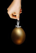 Hand holding a golden egg